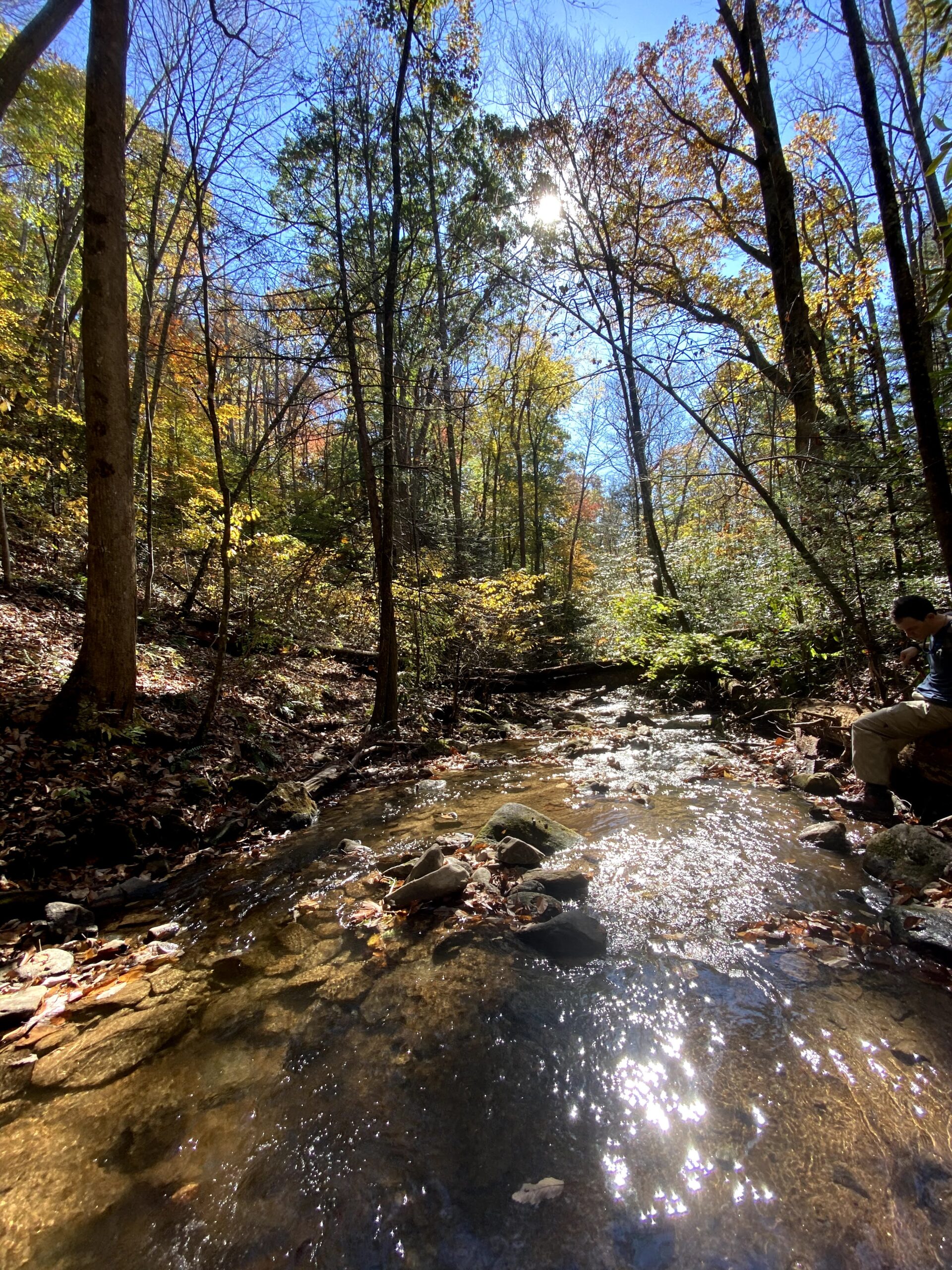 VWIN Environmental Quality Institute