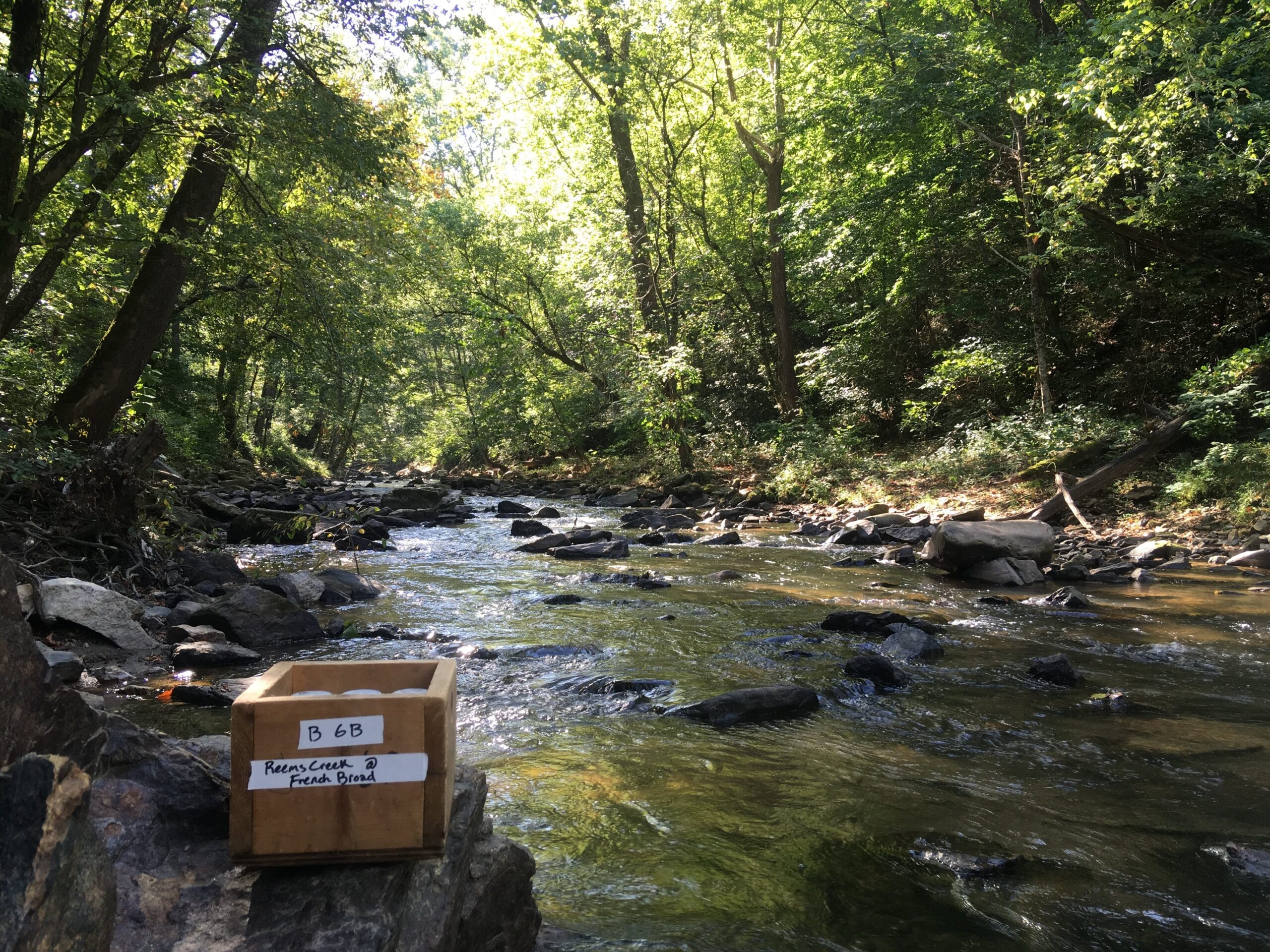 River with sample box